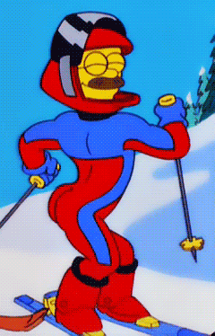 Image result for stupid sexy flanders gif