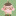 namek: we are god’s abandoned animal crossing town 
