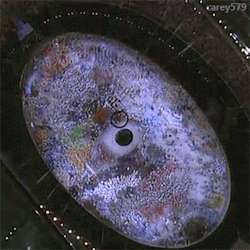 driesmiao:  Moments2004 Summer Olympics Opening