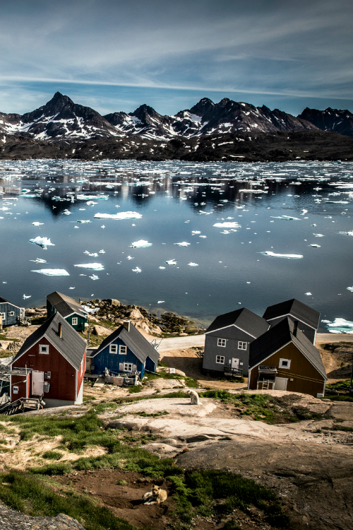 tulipnight:  Summer in Tasiilaq by greenland_com on Flickr, By Mads Pihl