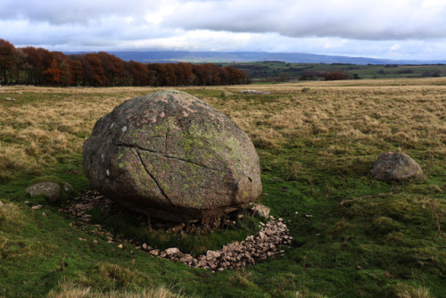 Prehistoric Way Marker or Glacial Erratic, Oddendale, Cumbria, Lake District, 4.11.17.Located within