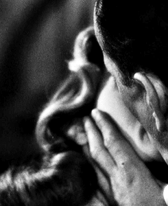  Humphrey Bogart and Lauren Bacall in Dark Passage (1947). 