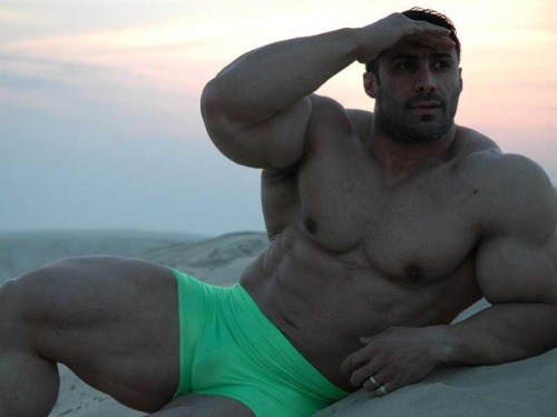 joeysilverado:  Looks like Ali Tabrizi Nouri ….?  OMG mounds of muscles and an impressive bulge - WOOF