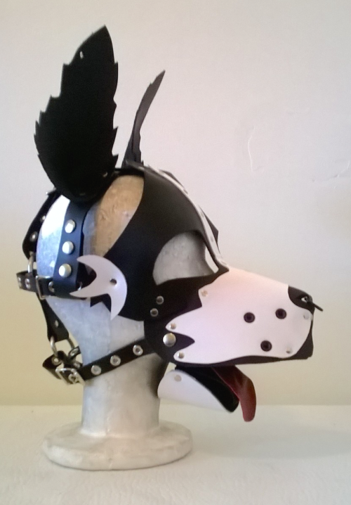 thewellkeptpet:  Brian, your Boarder Collie is decked out with all the bells and whistles. You got spikes, grommets, piercings and a septum ring. It’s all quite dashing!   Omg I want it