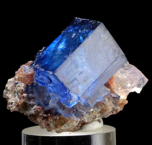 mineralists:  Rare blue Halite on Sylvite from Intrepid Potash East Mine, New Mexico