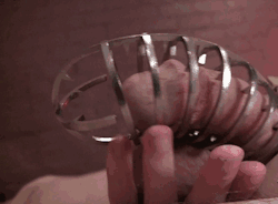 kinkyfemdom:  Cruel CBT Mistress! “I want to hear you screaming when this chastity belt spikes stick in your cock.  Looking for your erection….  Don&rsquo;t get hard lol