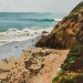 leahgardner-art:Pictures of Malibu. Oil on panel, 2021 and 2022 