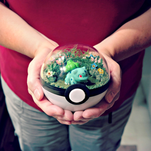 expedition-pokemon-go: laurens-crazy-tumbler: More Poke’ ball terrariums!  “Gotta b