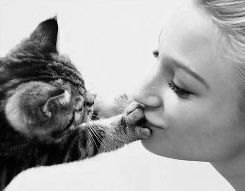 extrarouge:  awww how cute