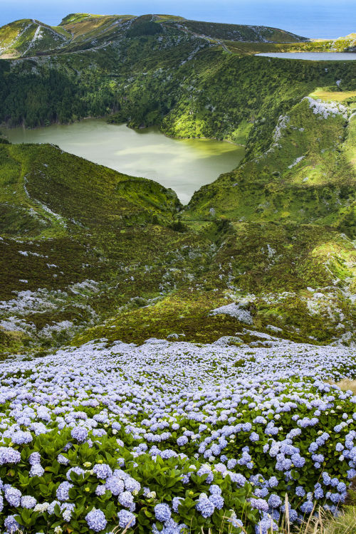 travelgurus:          Azores (Island cluster in Portugal) by Jef Wodni