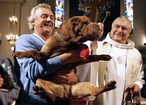 Dog bless you: Catholic church celebrates pets
A dog is blessed by Father Gil Florini on Oct. 6 during a mass honoring St. Francis of Assisi — the patron saint of animals — at Saint-Pierre-d'Arene’s church in Nice, France.