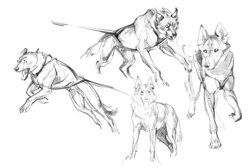 christinebian:It seems like you guys really enjoyed my doggie doodles from last week! Here are some 