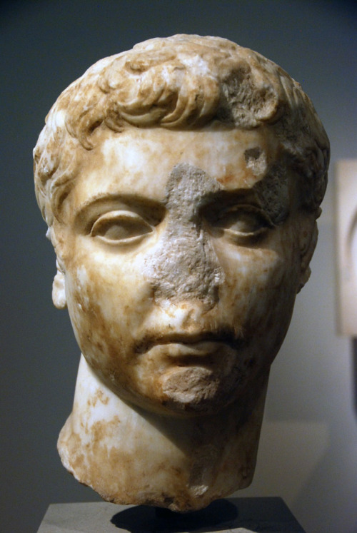 myglyptothek:Portrait of a Julio-Claudian prince, perhaps Drusus the Younger. From Asia Minor (1926)
