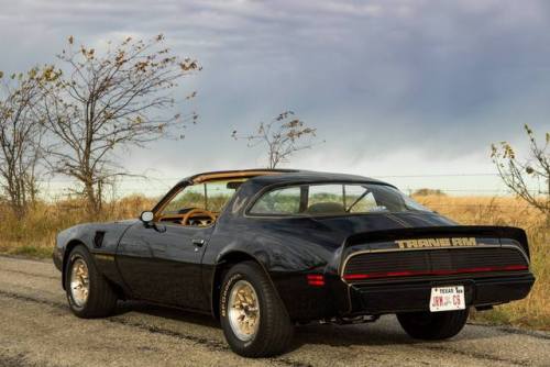 Porn bigboppa01:1979 Pontiac Firebird Trans Am, photos