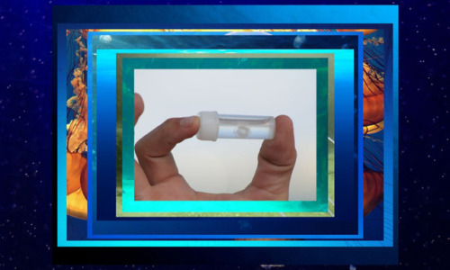 On view on High Line Channel 14 | Body LanguageFeaturing works by Hannah Black and Sara Magenhe