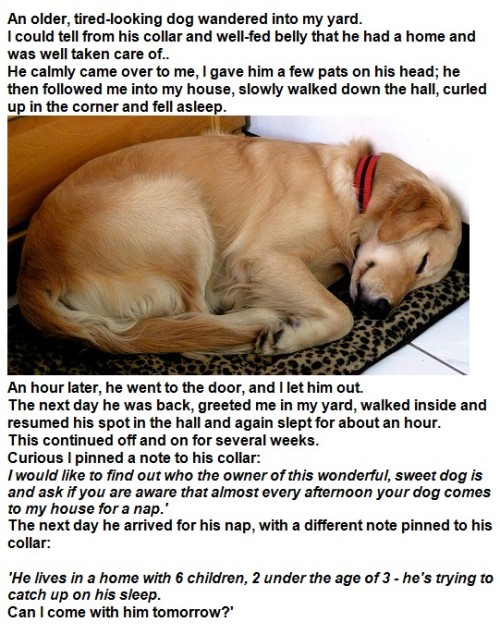 awwww-cute:  Might be a repost, but I thought it was adorable 
