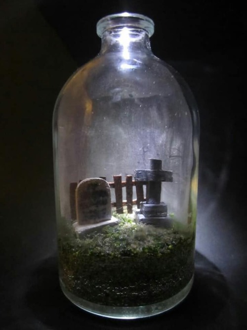 electronicgallery:Graveyard terrariums2. Nicole Rimel