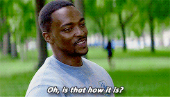 mshopevandyne:    Marvel Cinematic Universe Meme: [ 2/2 avengers ] Sam Wilson/Falcon
