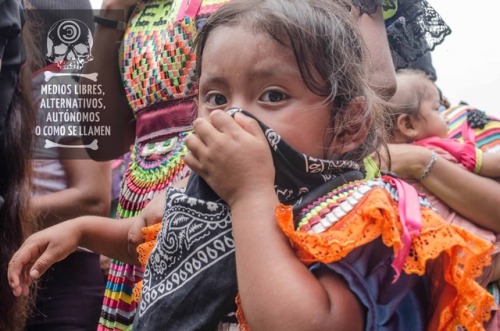 indigenous-maya:Zapatistas - A Native movement group of rebels who fights for the rights of Indigeno