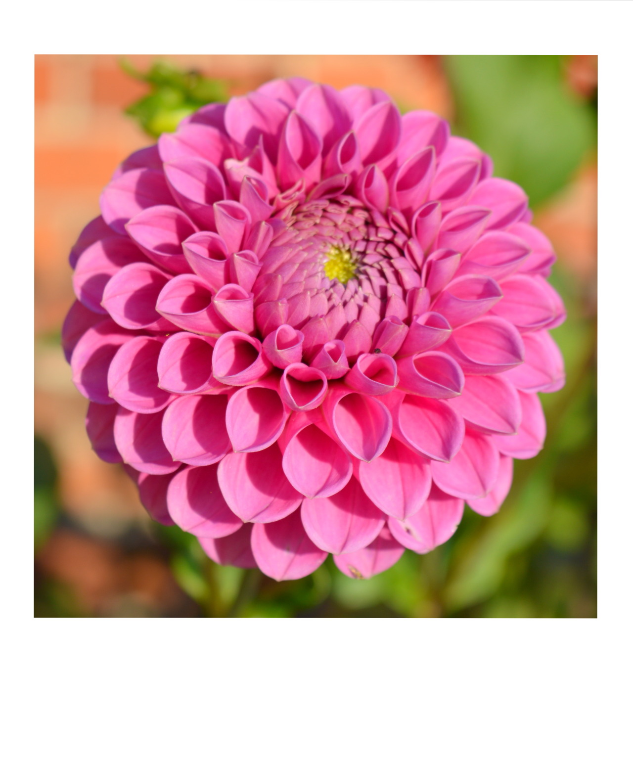 themandspolaroidcollection:  Still winking - please note the i 