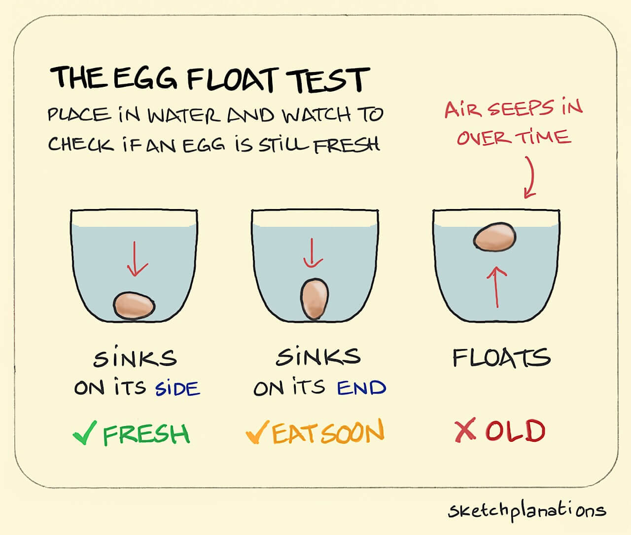 The Egg Float Test Sketchplanations