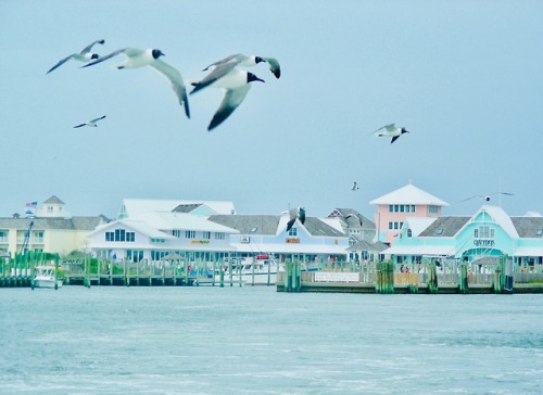 Summer Vacation is Over, Leaving Hatteras, North Carolina, 2007.