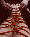 whiterabbitcadaver: