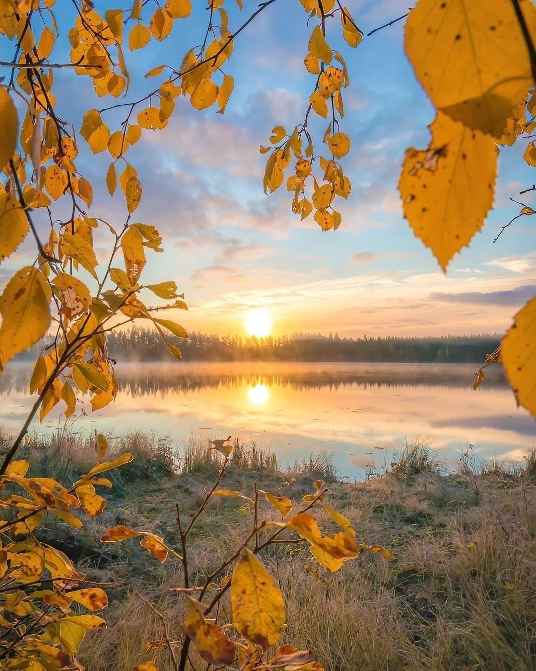 Autumn in Finland 🍂 Follow...