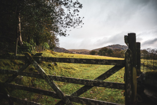 witchy-morue - A weekend in the English Countryside. Fall 2019