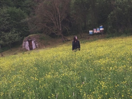 Spring IXEnd, and end and the end.