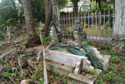 taphophilia:   	Graves in the vicinity of