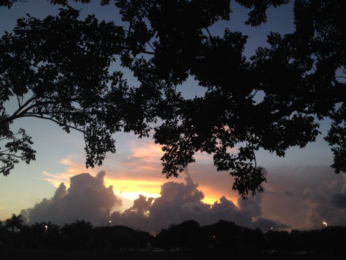celestialsabaism:today in the morning