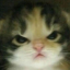 rozziepot