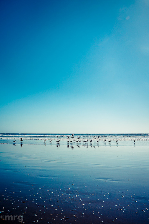 Always Venice. Venice Beach. mauriciorg.tumblr.com