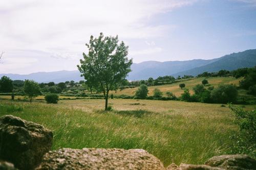 La Adrada, Ávila. Spain. (2014-05-14)Camera: Yashica 35-ME (f 15, 1/650)Film: Fuji Film Superia 200