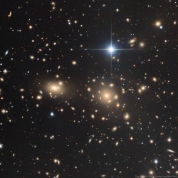 The Coma Cluster of Galaxies #nasa #apod