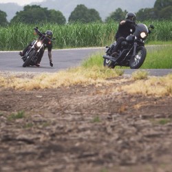 death-collective:  A mango chases down a piece of spinach. @ross_manning @spinach__  #deathcollective #VSCOcam #harleydavidson #harley #dyna #streetbob