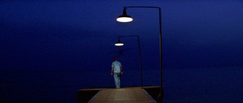 bottlerocket1996:Wes Anderson + blue