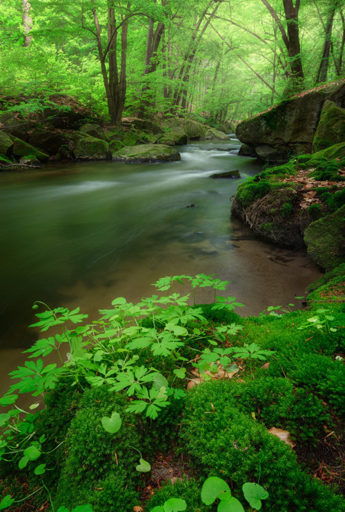 bela-flor-us: burning-soul:Michael Breitung BF♧