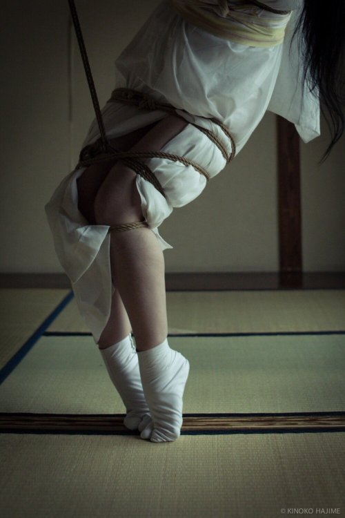 thevertigonetwork:  Kinbaku&Photo Hajime adult photos