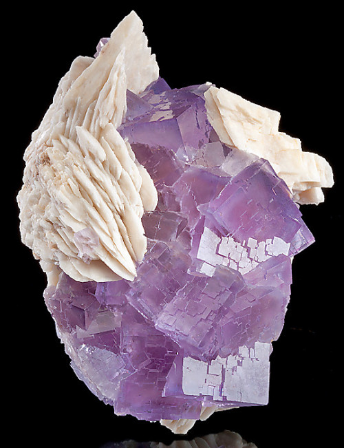 fuckyeahmineralogy: The many colors of fluorite (CaF2). Sources: 1, 2, 3, 4, 5, 6