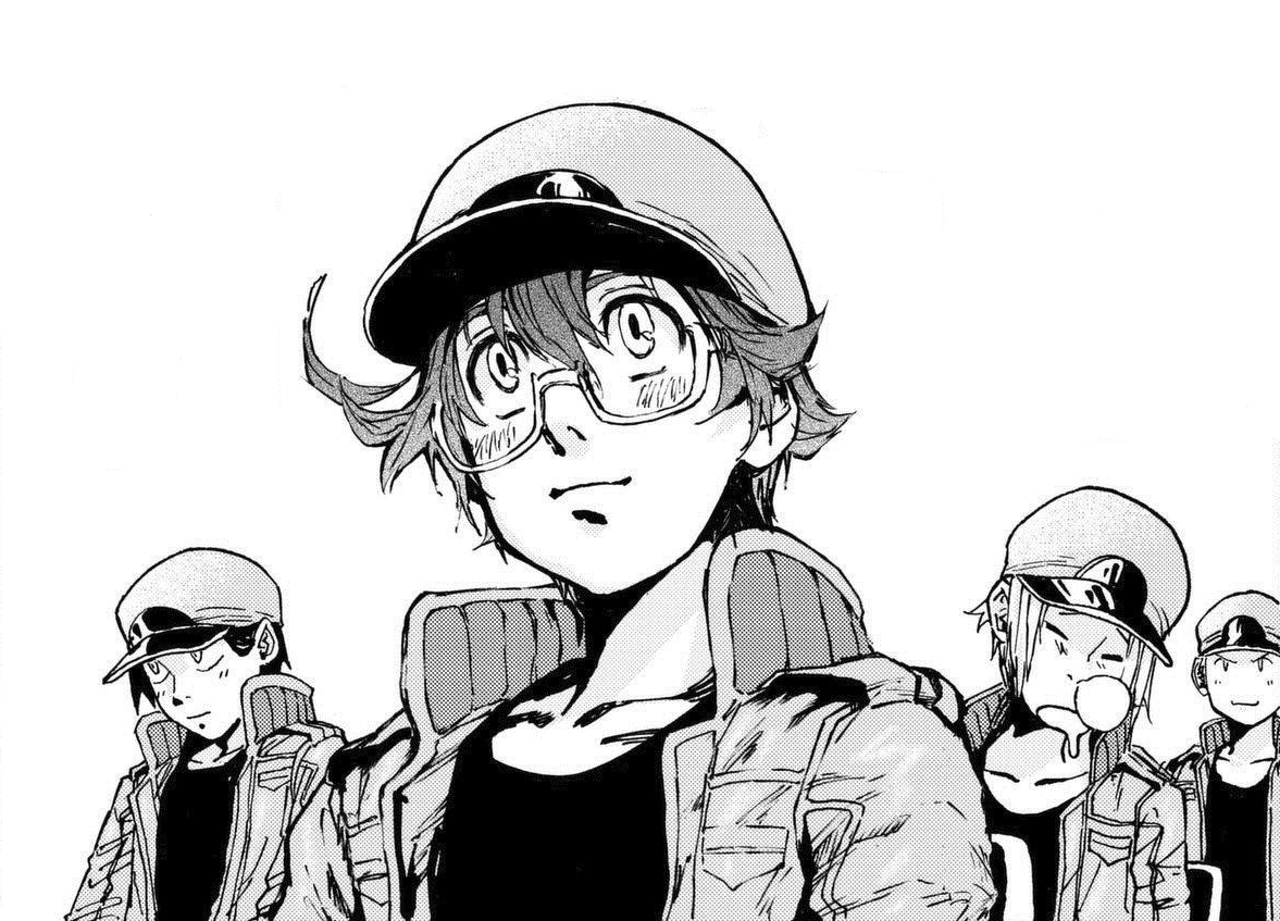 Cells at Work! Code Black/Hataraku Saibou Black -Sekkekkyuu /Red