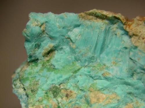 MoolooiteThis peculiar mineral that sounds as though it was given its name by a cow was discovered i