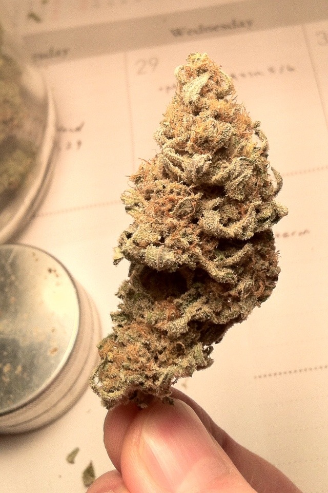 medicinalonly:  Lavender Cola. 