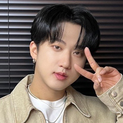 Stray Kids Matching Icons/metadinhas.