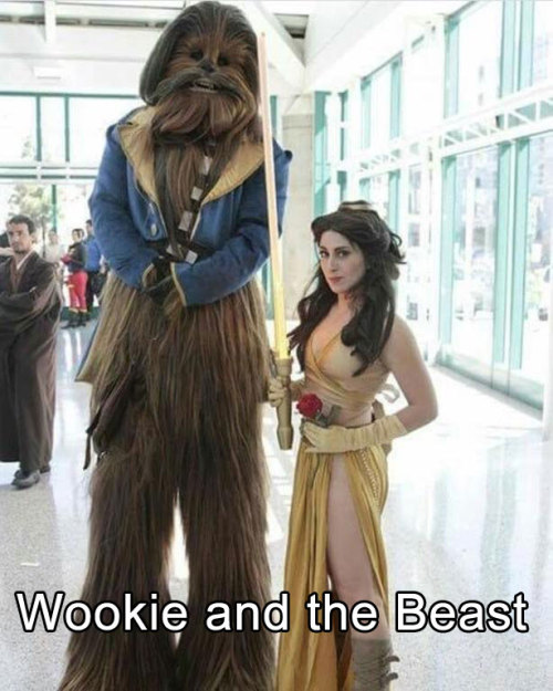 johnjanuarius:  wwinterweb:  Mashup Halloween Costumes (see 14 more)  According to the title for that last one, Belle is the beast.  And based on that lightsaber, I’d say she probably is a beast. 