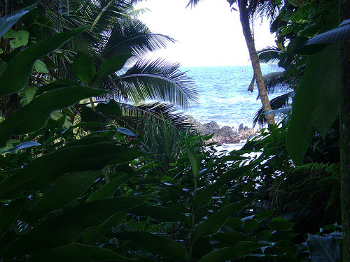 kapalai:  (by Sharon Burkhardt)  ❁❁ tropical blog, following back everyone  ❁❁