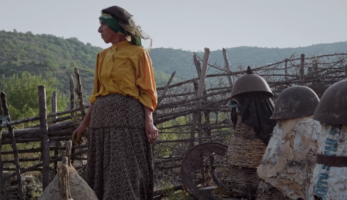 365filmsbyauroranocte: Honeyland (Tamara Kotevska &amp; Ljubomir Stefanov, 2019)