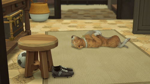 Spike And Lady Are The Cutest Sleepers.