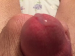 digcock69:  That felt so good  Looks like it would taste real good too. 